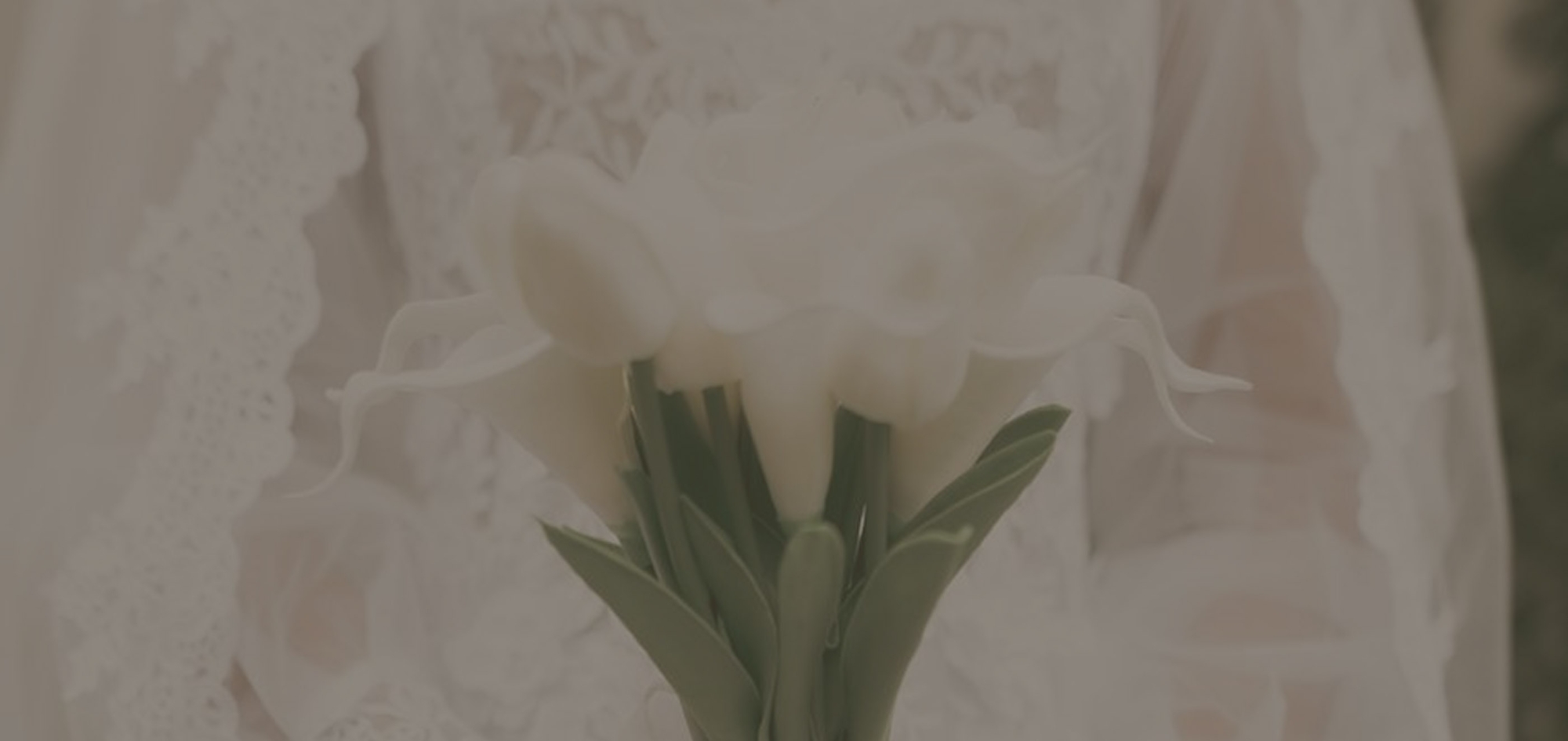 Photo of the flowers - Desktop Image