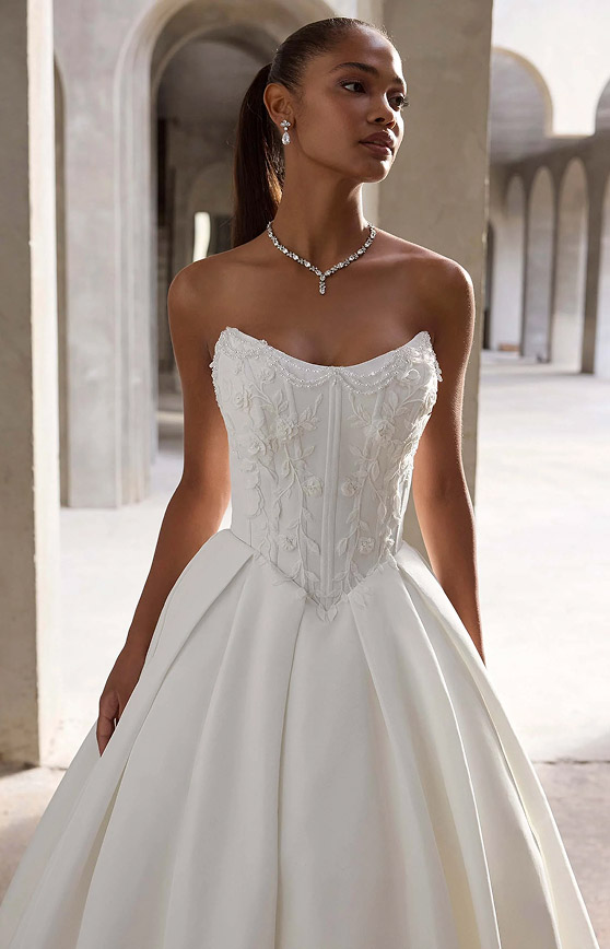 Model wearing a Ball Gown gown