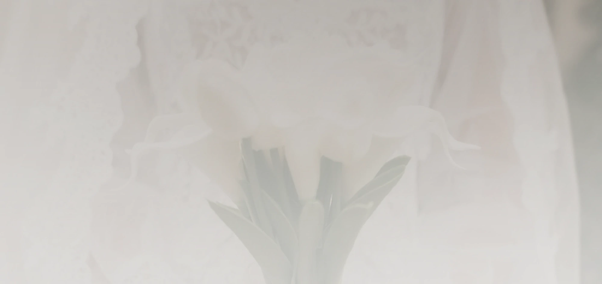 Roxanne's Bridal